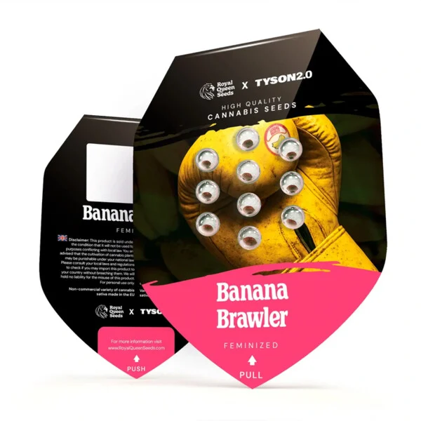 Royal Queen Seeds – Banana Brawler Feminized Seeds (Gelatti x Blue Power | Tyson 2.0 Collab) – 3 Seeds - Image 2