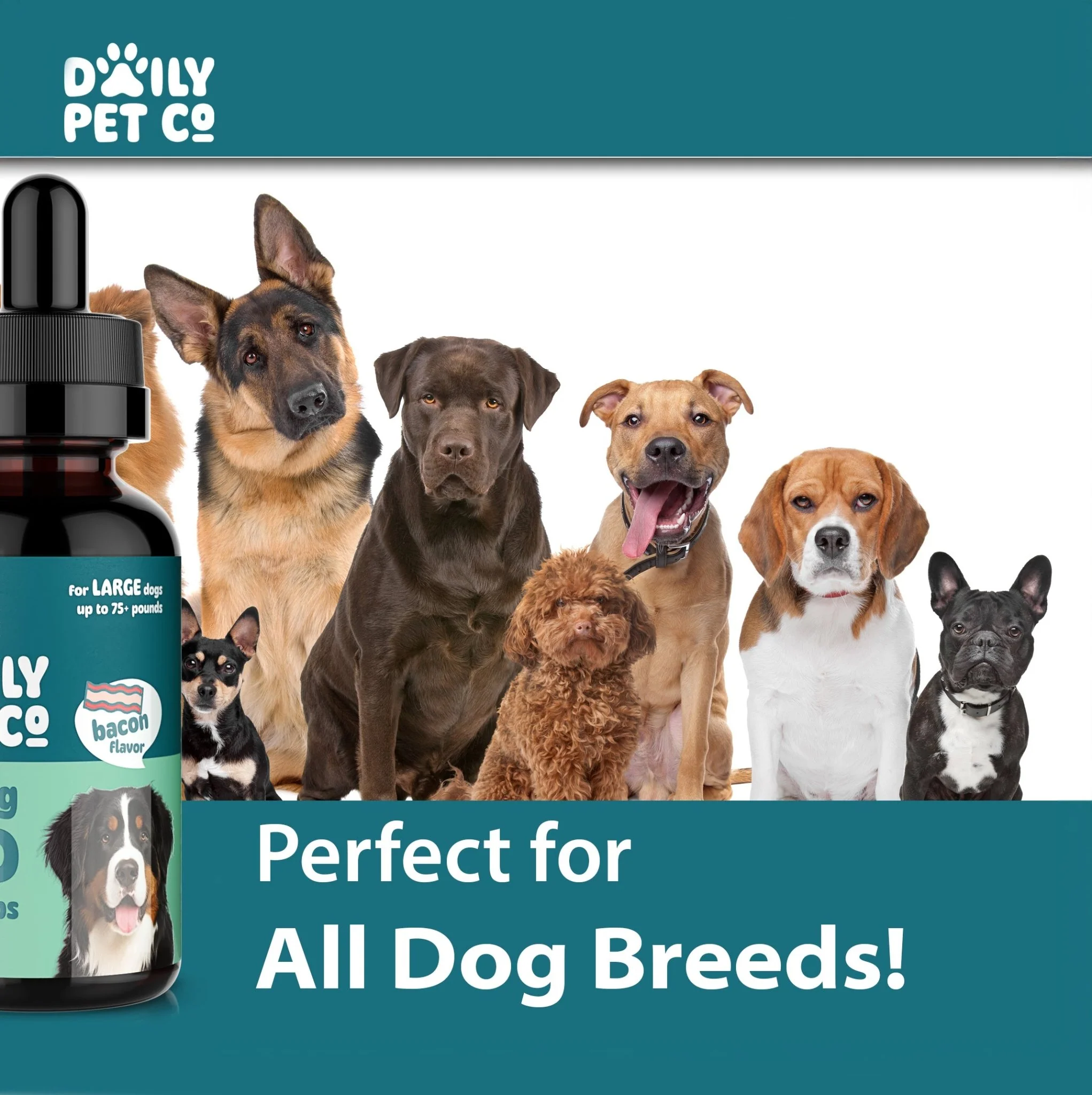 CBD Pet Drops for Dogs - Bacon Flavored - Image 8