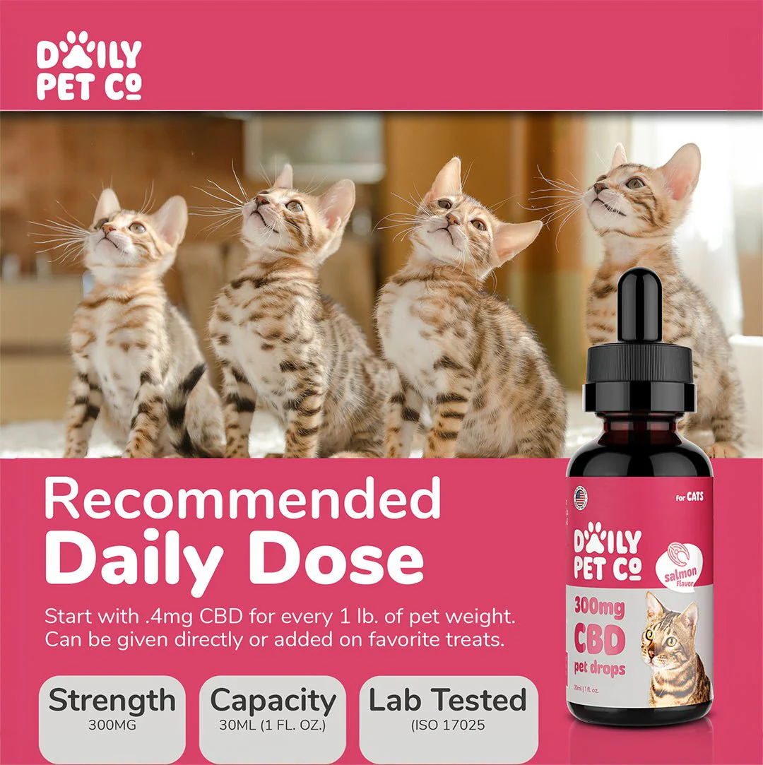 CBD Pet Drops for Cats - Salmon Flavored - 300mg - Image 3