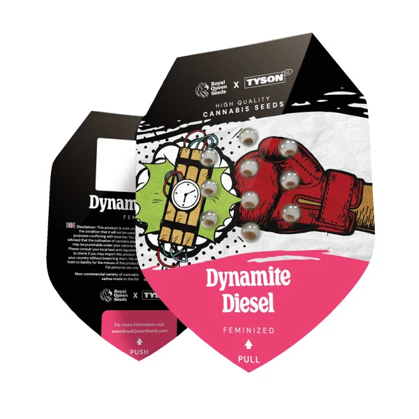 Royal Queen Seeds – Dynamite Diesel Feminized Seeds (Sour Diesel x Skywalker OG Indica-Dominant) – 3 Seeds - Image 2