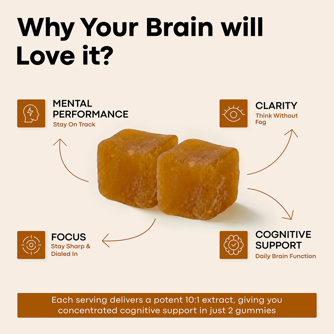 Lion’s Mane Nootropic Gummies by Erth Wellness – 10:1 Fruiting Body Extract – Cognitive Support - Image 3
