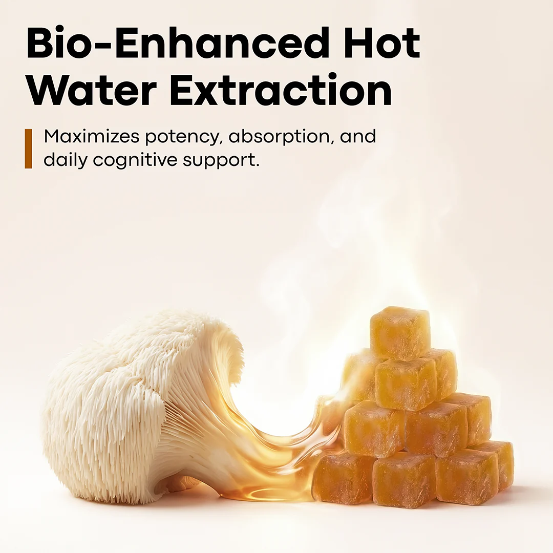 Lion’s Mane Nootropic Gummies by Erth Wellness – 10:1 Fruiting Body Extract – Cognitive Support - Image 4
