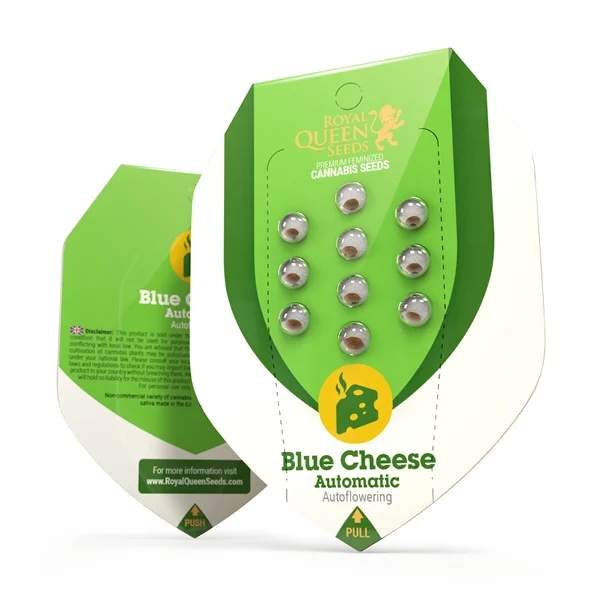 Royal Queen Seeds – Blue Cheese Auto Feminized Seeds (Cheese x Blueberry Auto) - 3 Seeds - Image 2