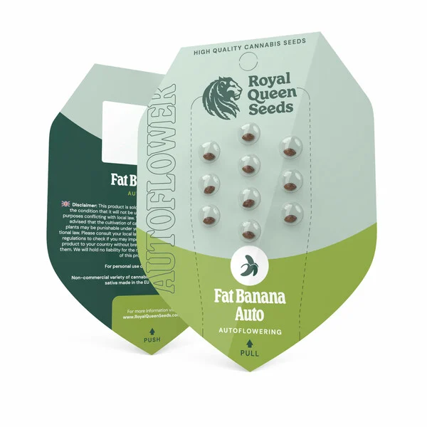 Royal Queen Seeds – Fat Banana Auto Feminized Seeds (Banana Kush Indica Autoflower) - 3 Seeds - Image 2