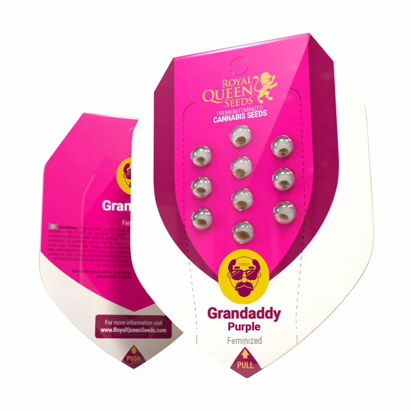 Royal Queen Seeds – Granddaddy Purple Feminized Seeds (Heavy-Hitting Dessert Indica) - 3 Seeds - Image 2