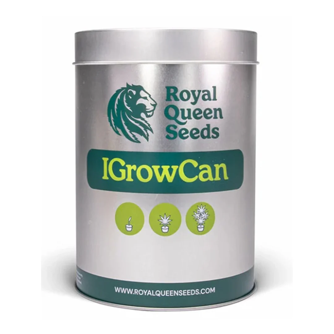 Royal Queen Seeds iGrowCan – Beginner-Friendly Autoflower Grow Kit - Image 3