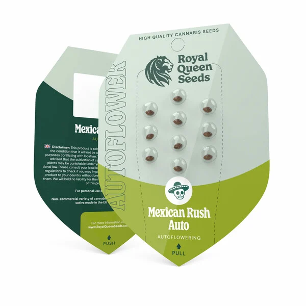 Royal Queen Seeds – Apple Fritter Auto Feminized Seeds (Sweet & Powerful Indica Auto) - 3 Seeds - Image 2