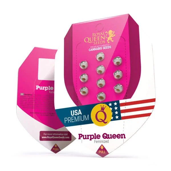 Royal Queen Seeds – Purple Queen Feminized Seeds (Purple Kush Hybrid) - 3 Seeds - Image 2